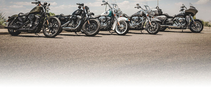  Harley Davidson roars into 2019 Outdoor Adventure Expo 