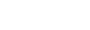Custom Lithium 300x100