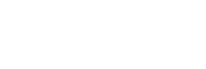 MSA 300x100